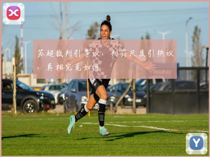 苏超裁判引争议，判罚尺度引热议，真相究竟如何