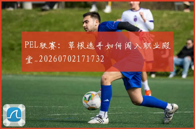 PEL联赛：草根选手如何闯入职业殿堂_20260702171732