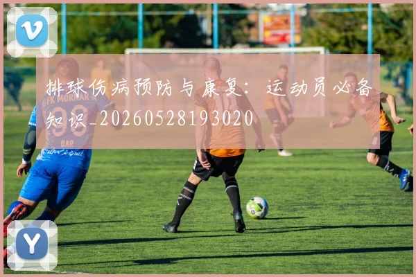 排球伤病预防与康复:运动员必备知识_20260528193020